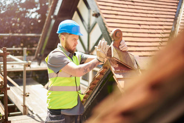 Best Commercial Roof Installation  in Bernie, MO