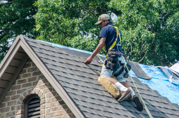 Best Roof Gutter Cleaning  in Bernie, MO